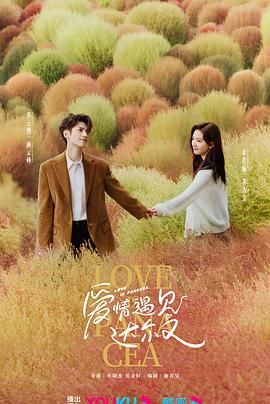 一男多女np种马